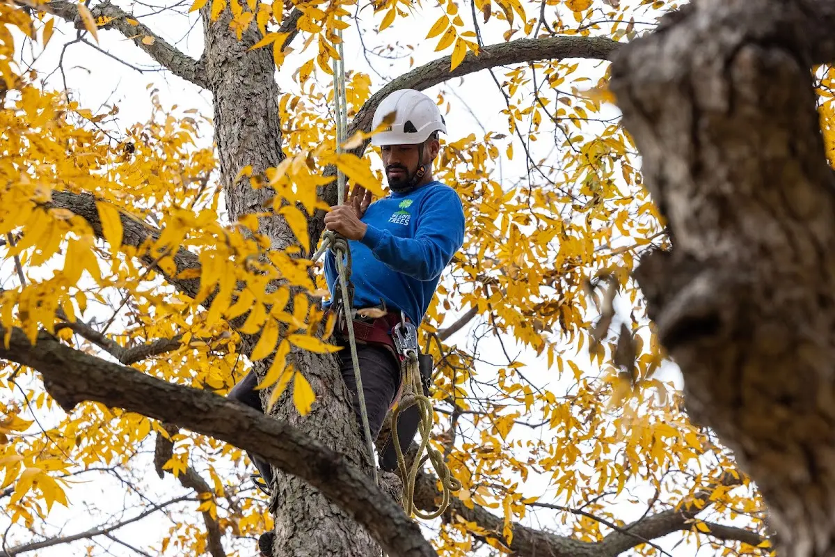 Skilled Storm Damage Cleanup crew working in Fargo